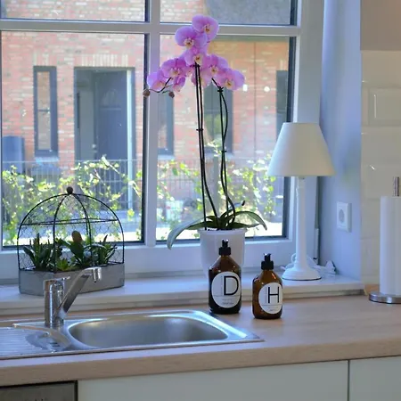 Reetdachhaus Nordstern Nyaraló