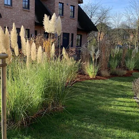 Reetdachhaus Nordstern