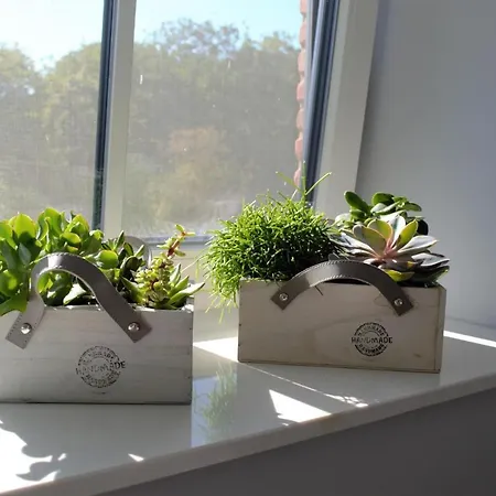 Reetdachhaus Nordstern Nyaraló *